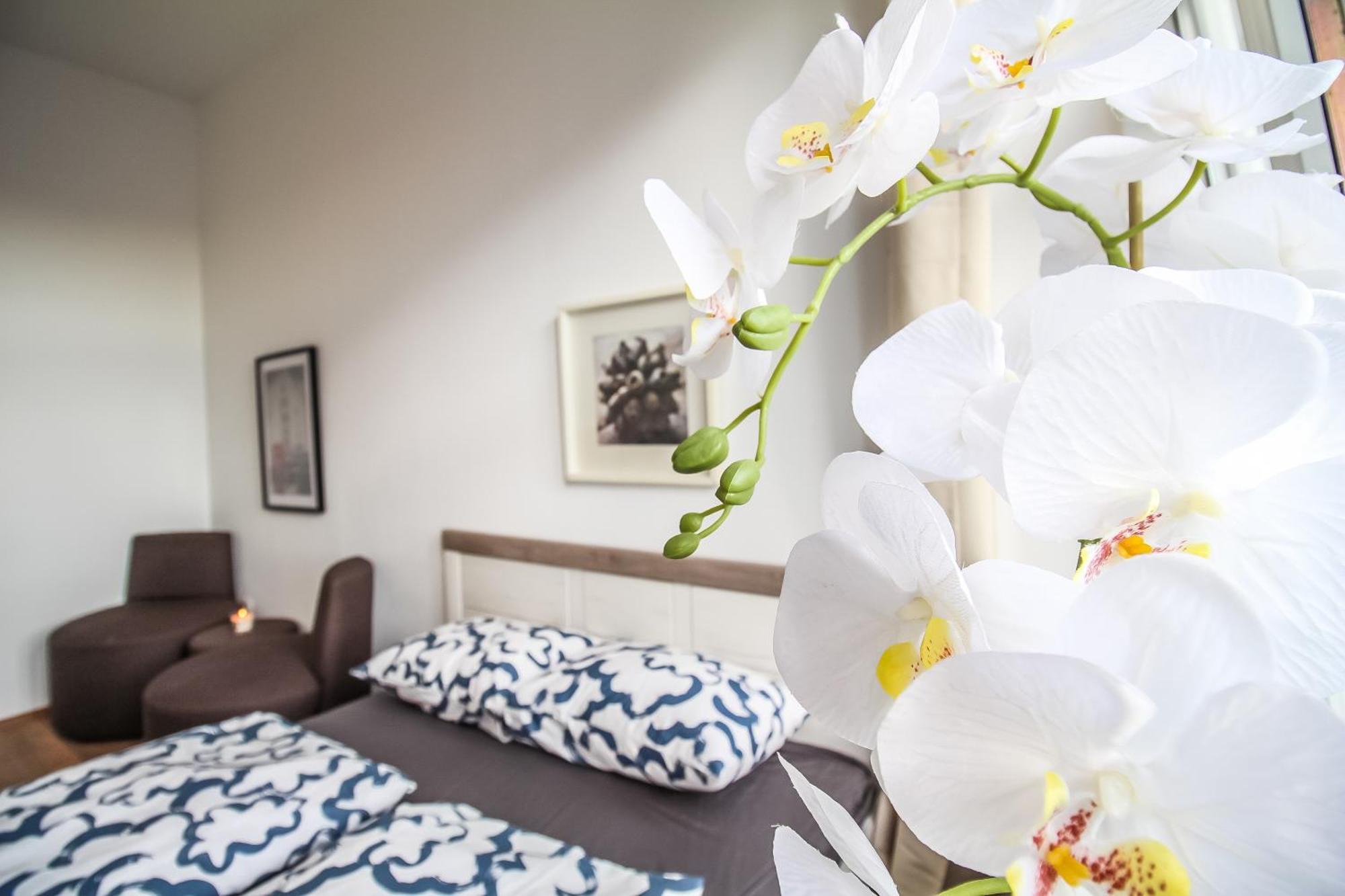 Disc Cozy Rooms In Liesing Вена Экстерьер фото